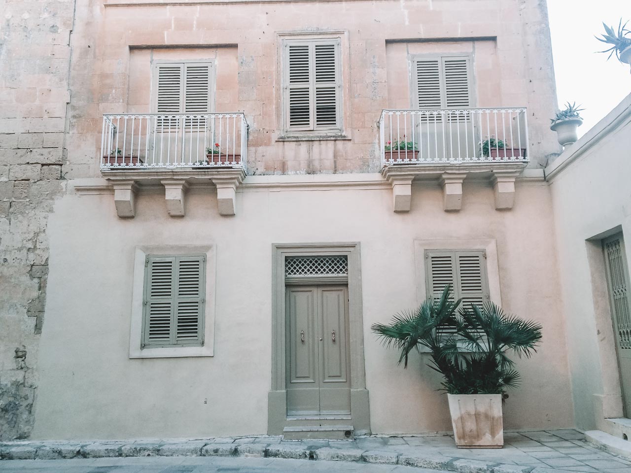A traditional Maltese house with a plant in Mdina, Malta