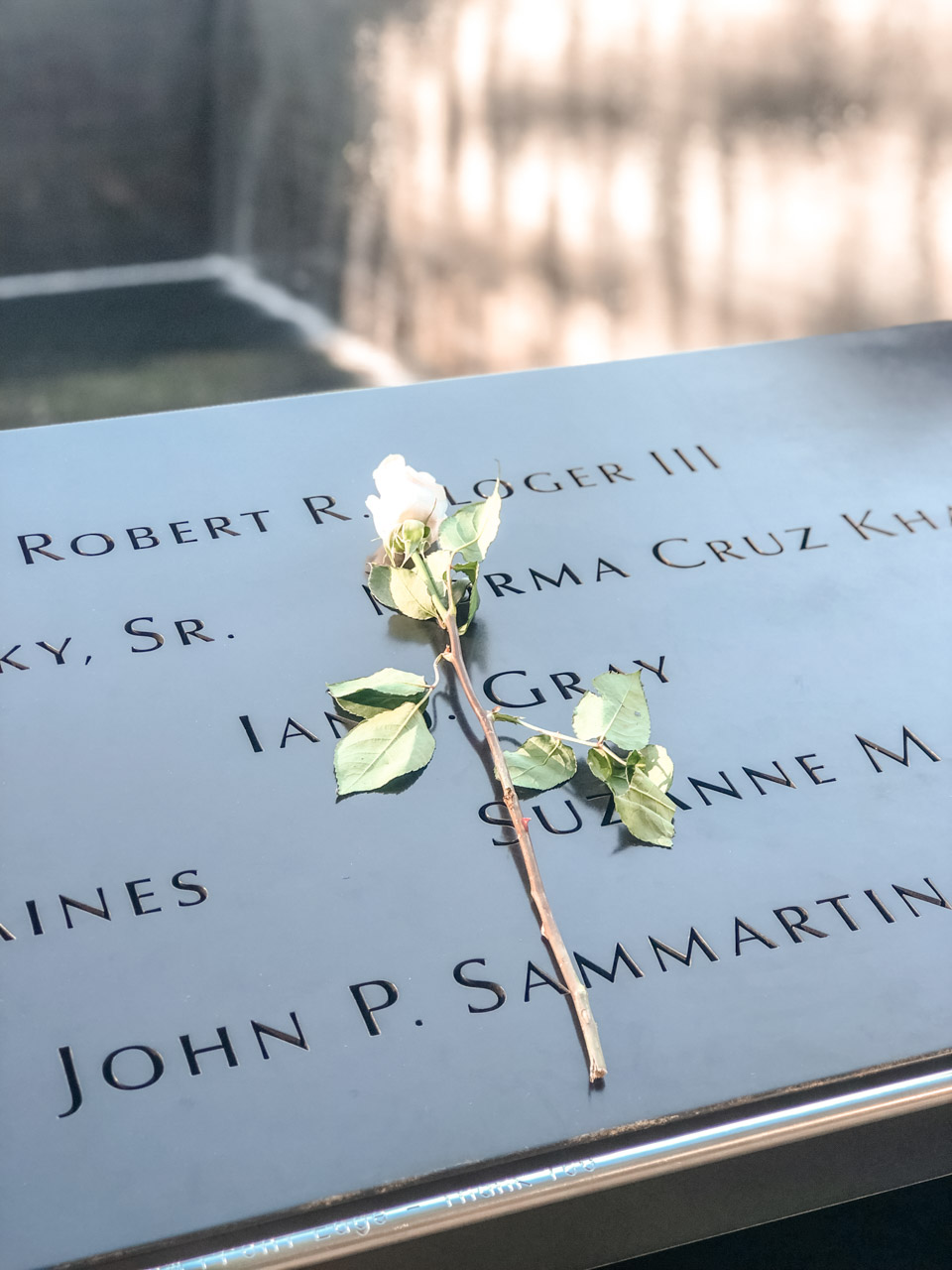 A white rose placed on the name of one of the 9/11 victims