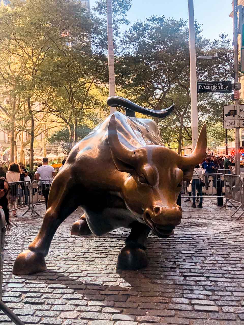 Charging Bull statue in Bowling Green, New York