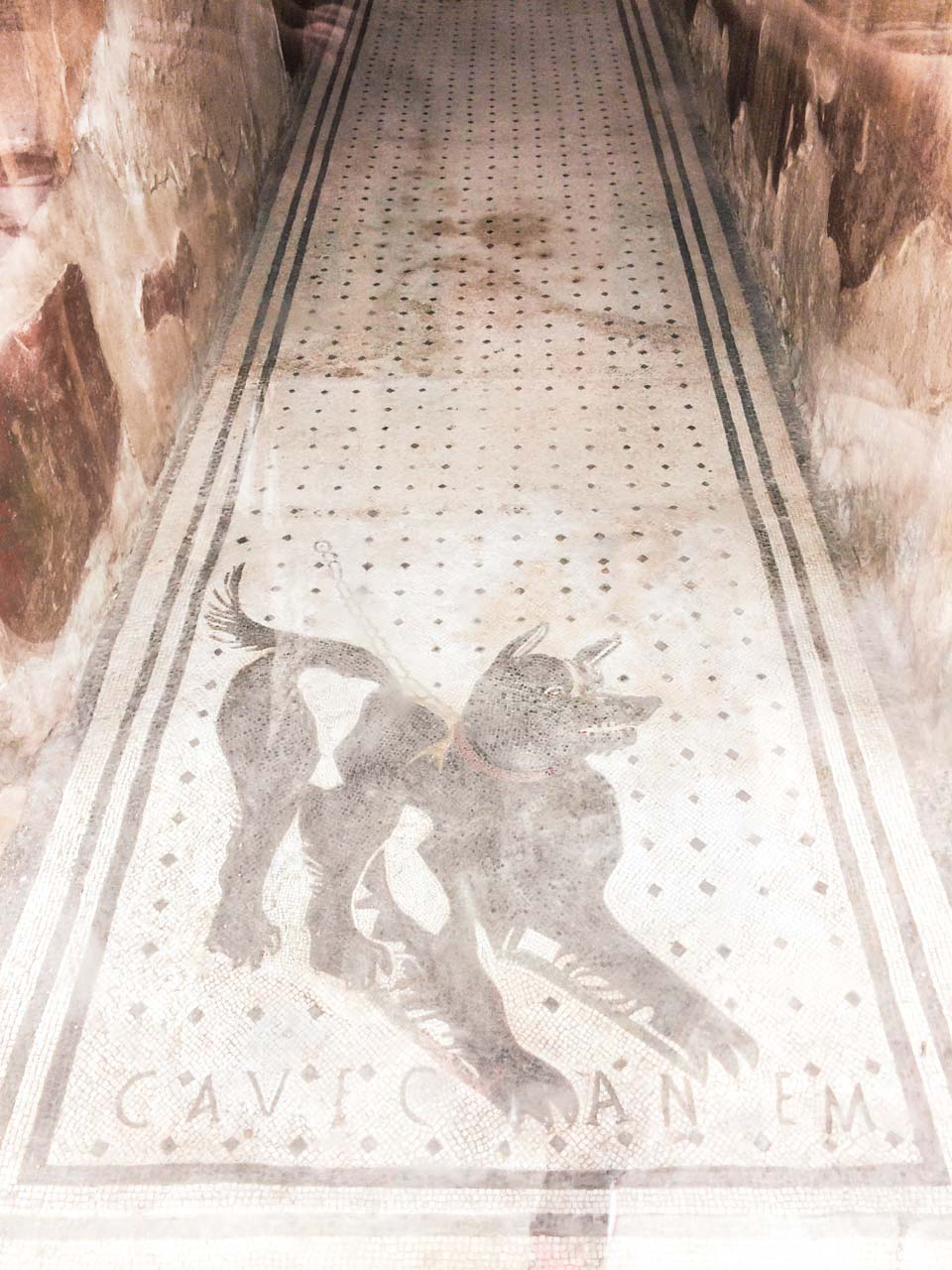 The dog mosaic at Pompeii with an inscription that says cave canem ("Beware of the dog")