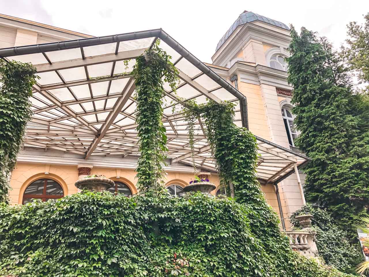 An ivy-covered terrace of a restaurant inside the Wrocław Zoo