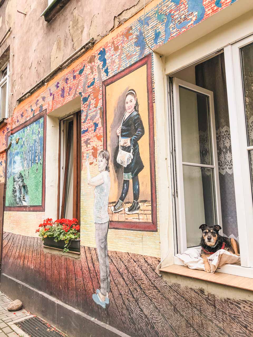 A dog lounging on a windowsill in an old tenement house covered in paintings