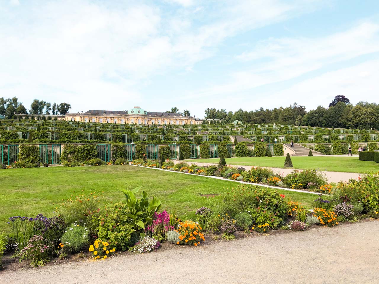 Numerous purple, pink, yellow and orange flowers at the foot of Sanssouci Palace in Potsdam, Germany