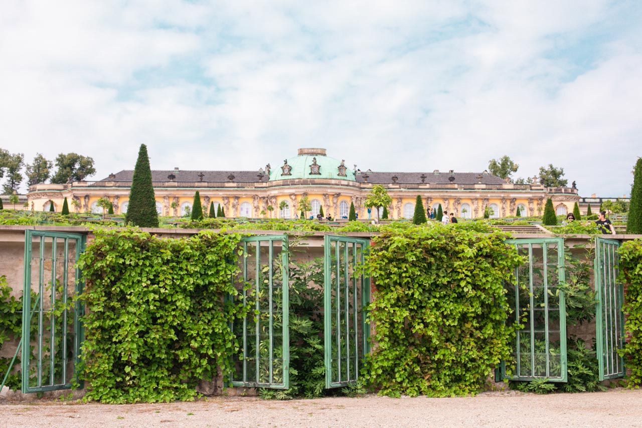 A close-up shot of the vineyard terraces on the slope of Sanssouci Palace in Potsdam, Germany