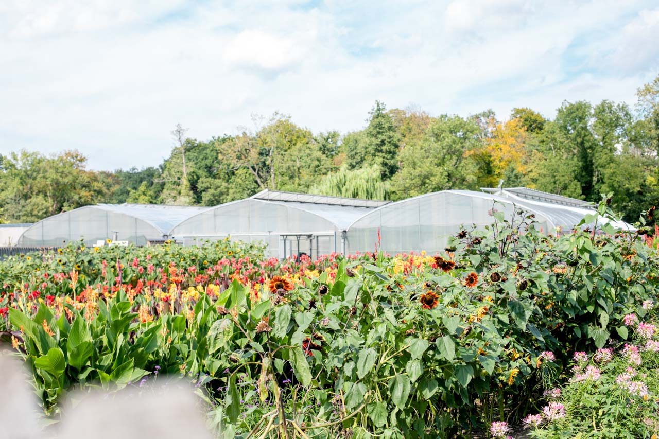 A couple of greenhouses inside a flower garden in Potsdam, Germany