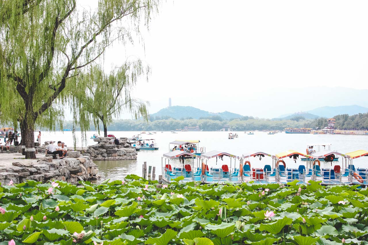 A row of small boats docked behind water lilies on Kunming Lake at the Summer Palace in Beijing