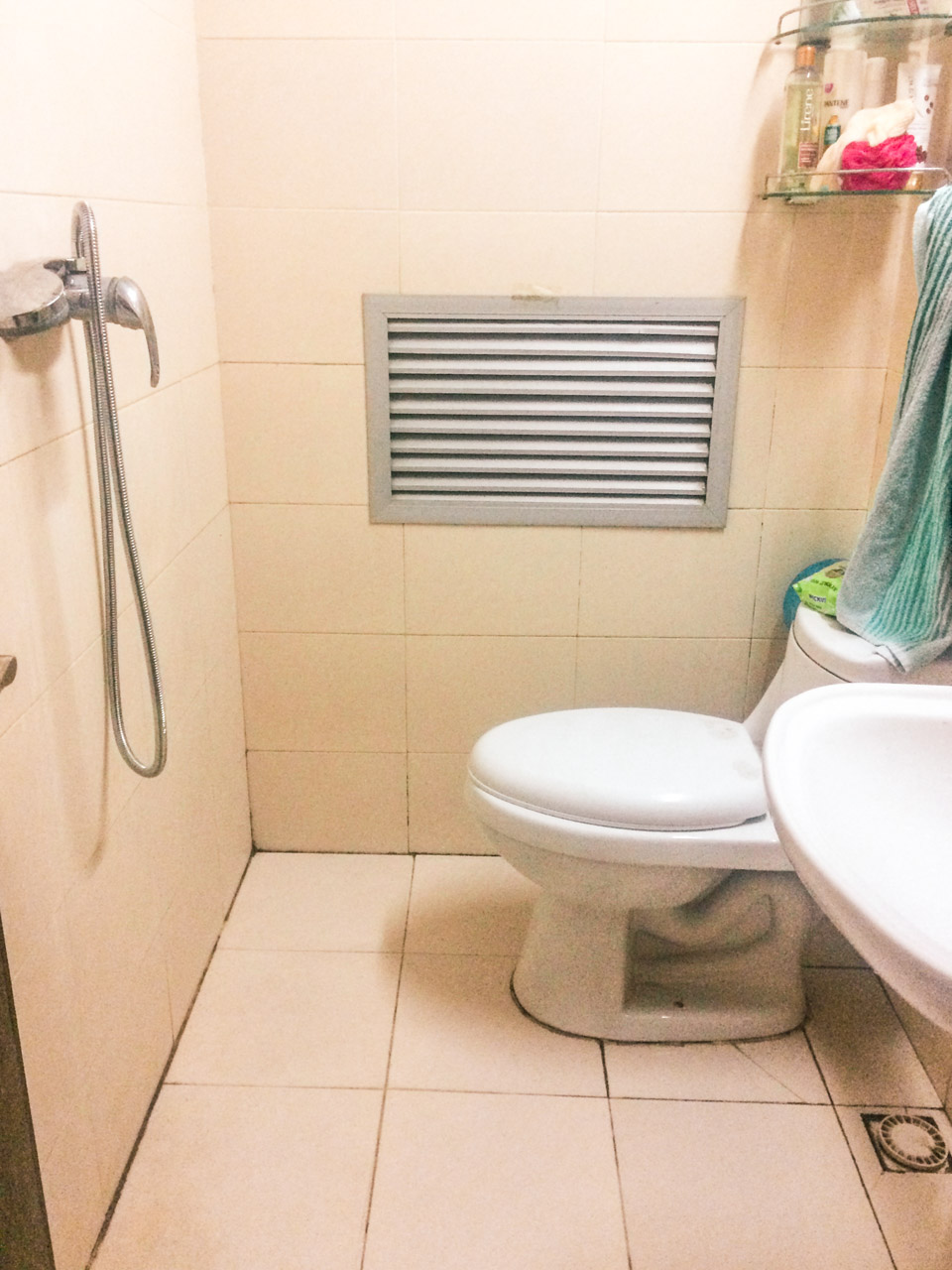 A typical Asian toilet with a shower head hanging from the wall