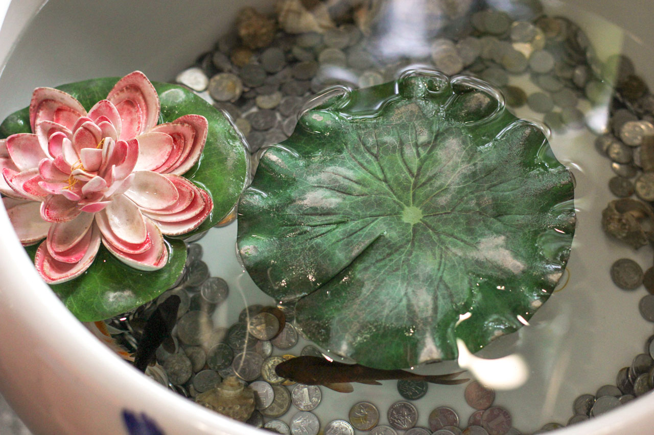 A close-up shot of water lilies inside a wishing well with lots of coins on the bottom