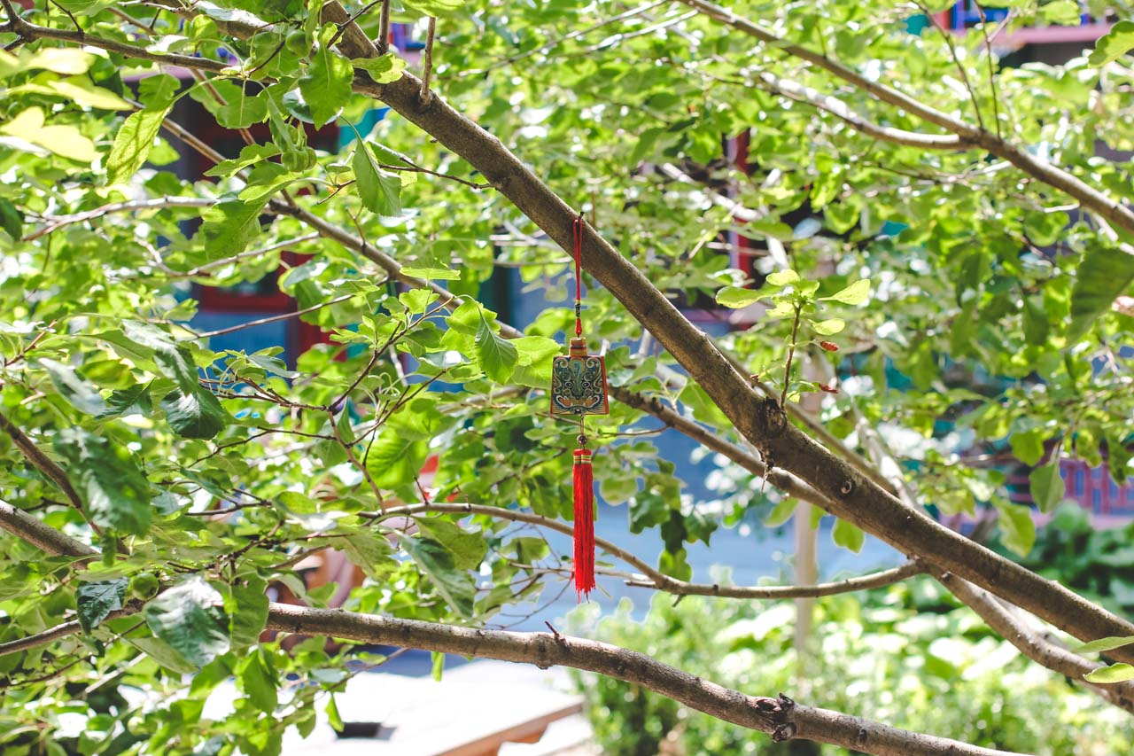 Red Chinese tassel hanging from a tree