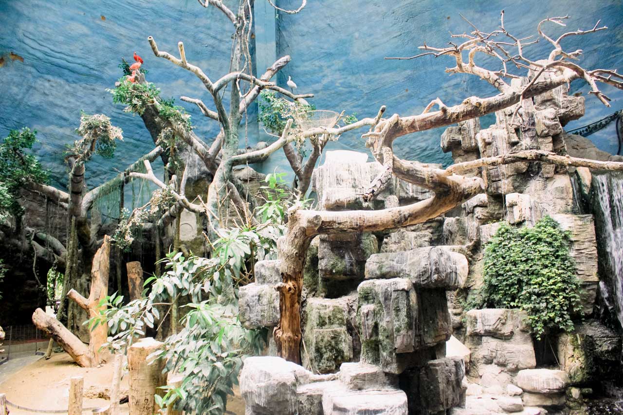 Wooden branches and trees inside the bird pavilion at the Beijing Zoo
