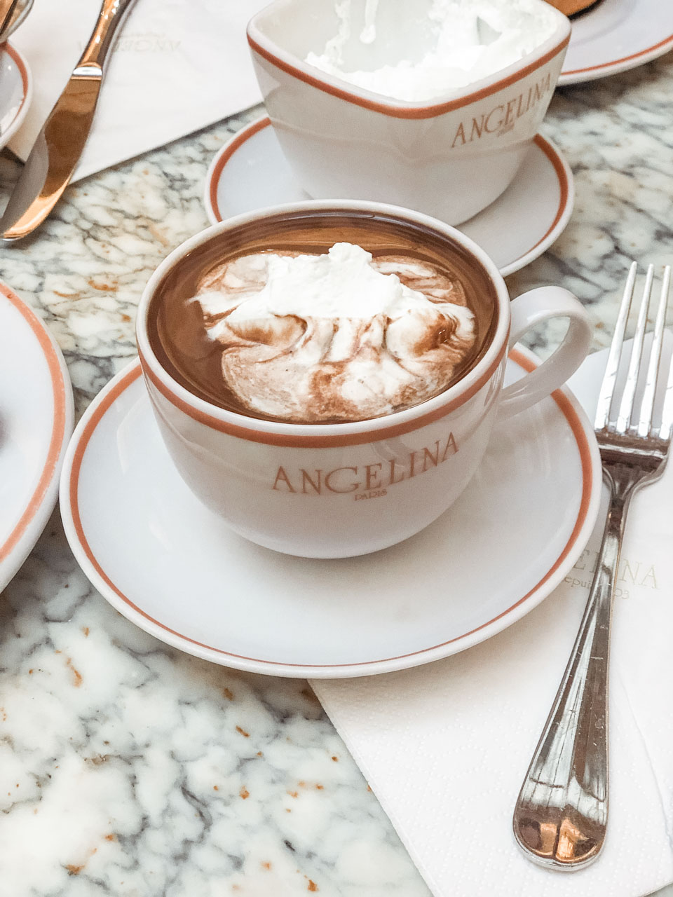 Cup of l’Africain hot chocolate with whipped cream at the Angelina tea house and café in Paris