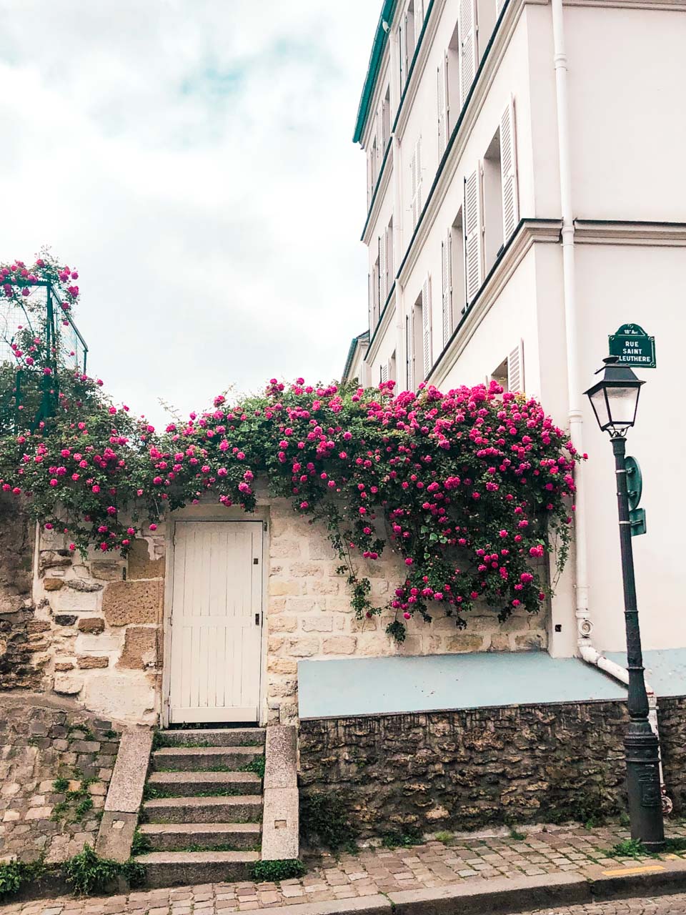 Pink flowers growing atop the entrance gate to a traditional French house in the Montmartre district