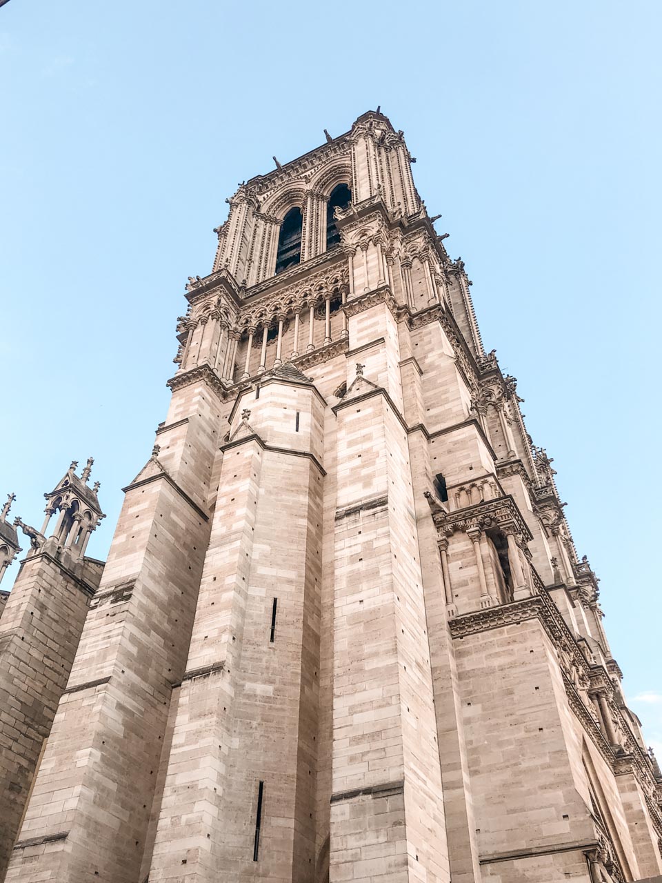 An upwards shot of Notre-Dame de Paris