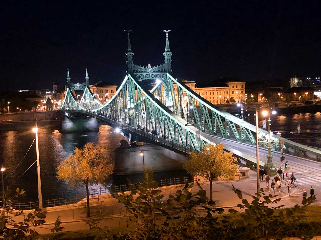 Szabadság / Liberty Bridge in Budapest at night
