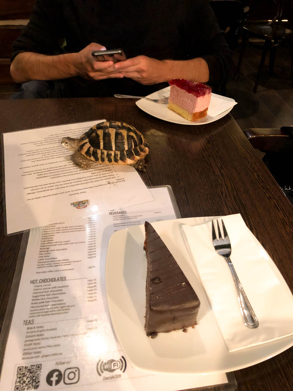 A turtle sitting on a table between two pieces of cake