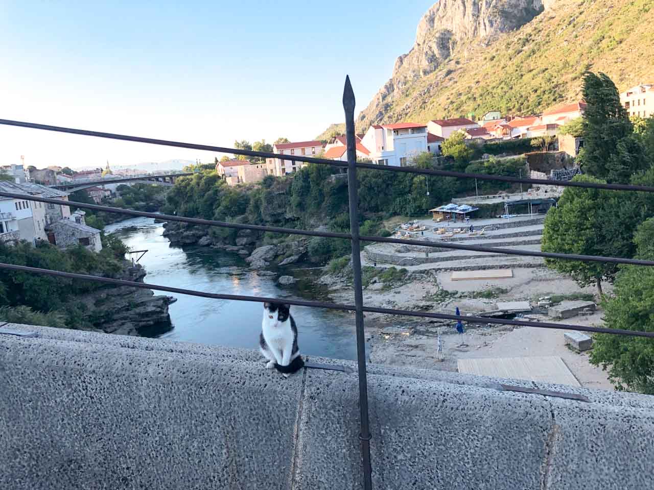A small black and white kitten sitting on the ledge of the Old Bridge (Stari Most) in Mostar