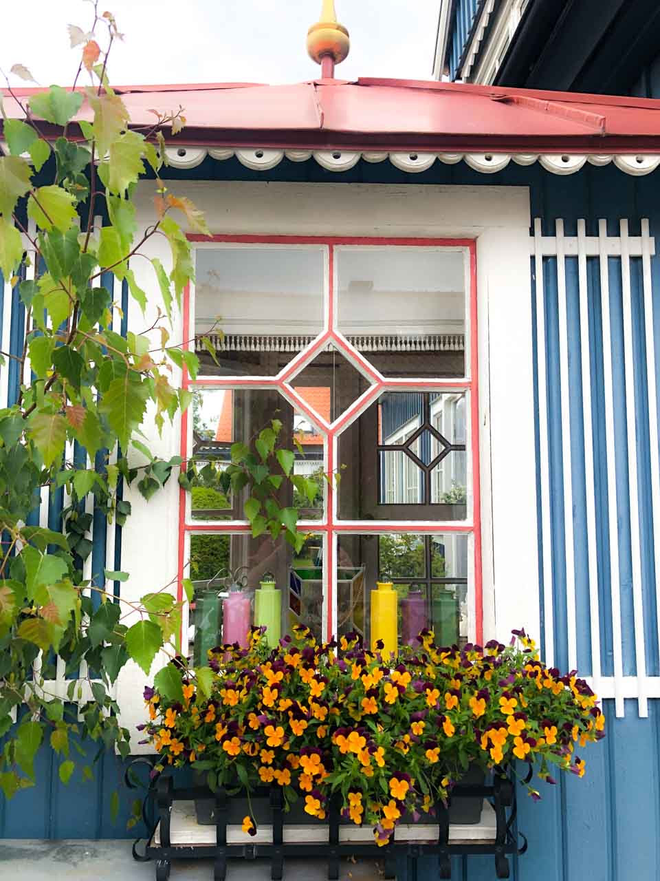 A close-up shot of plants under the window of a traditional Scandinavian house in Karlskrona, Sweden