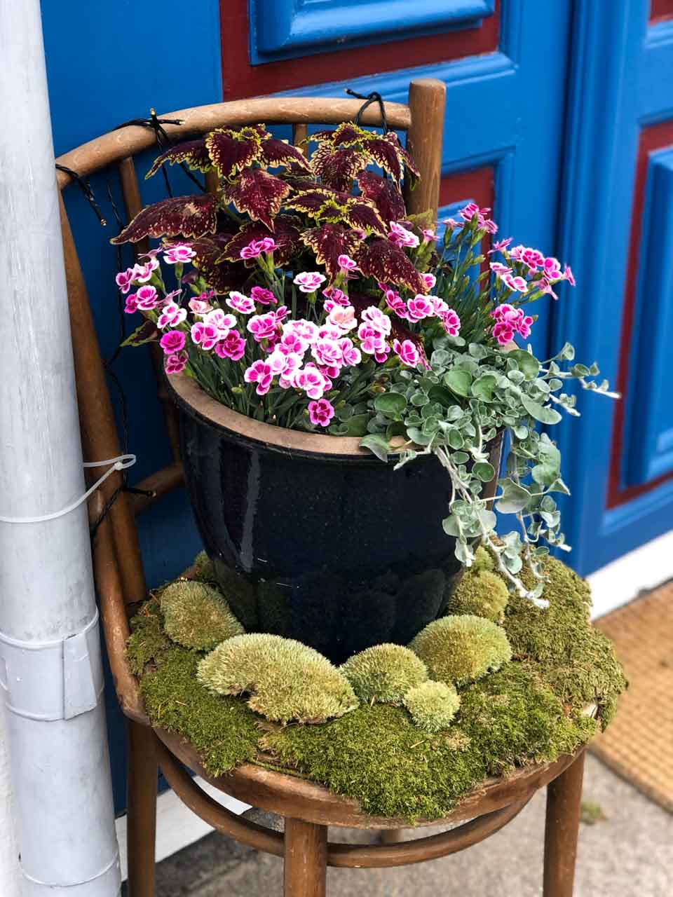 A close-up photo of a chair with moss and an outdoor plant pot on it outside a house in Karlskrona, Sweden