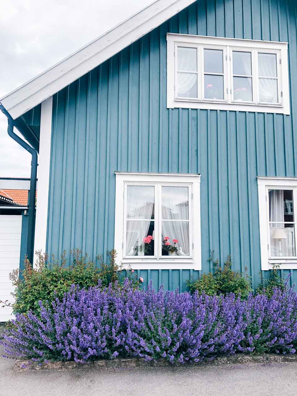 A blue wooden house with a purple bush outside