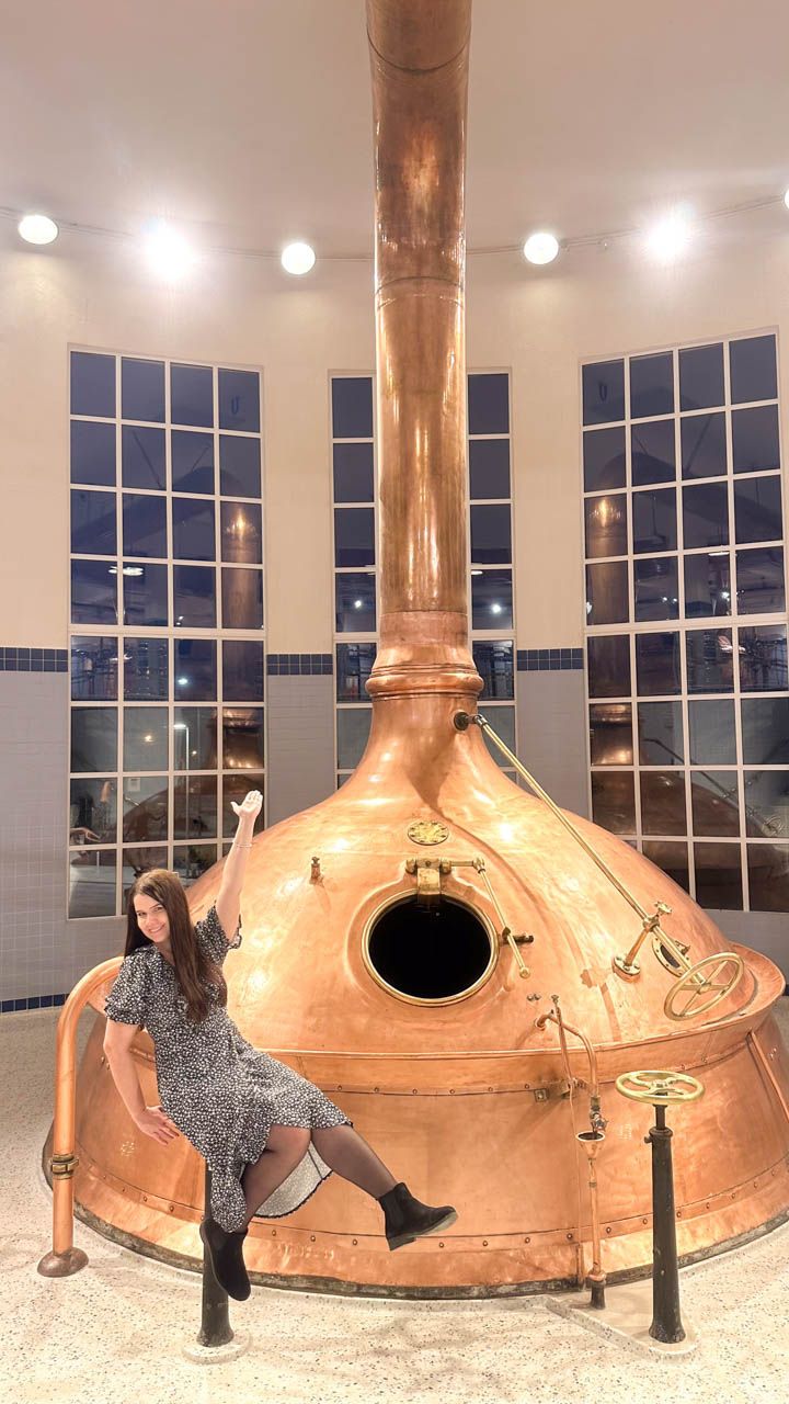 A woman in a dress holding her hand up and smiling as she's sitting in front of a beer tank at the Farsons Brewery Experience
