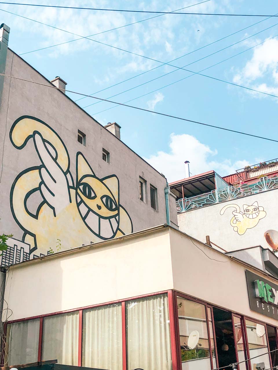 A building in Pristina, Kosovo with two identical cats painted on it