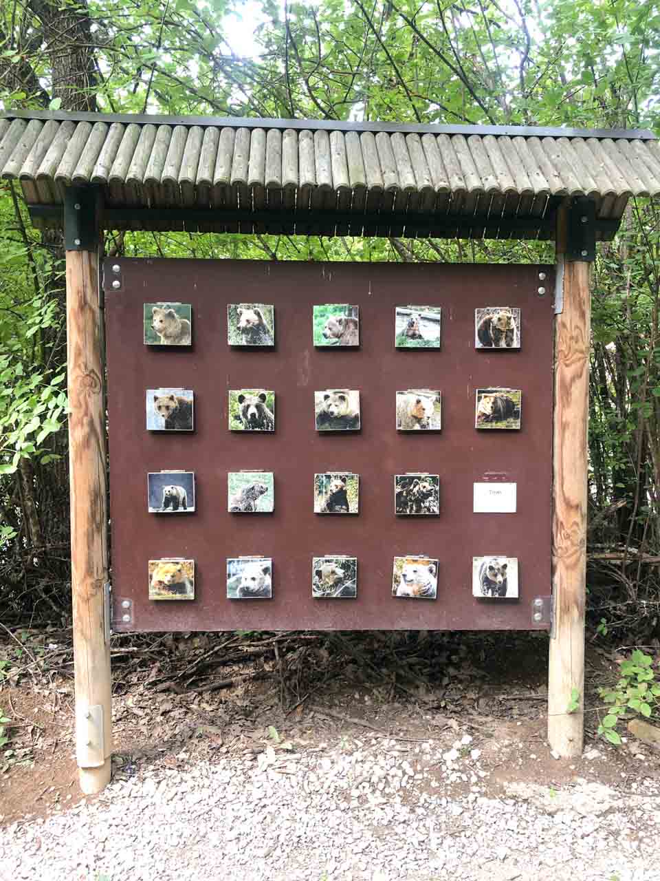 Display showing photos of all the bears living at the Pristina Bear Sanctuary