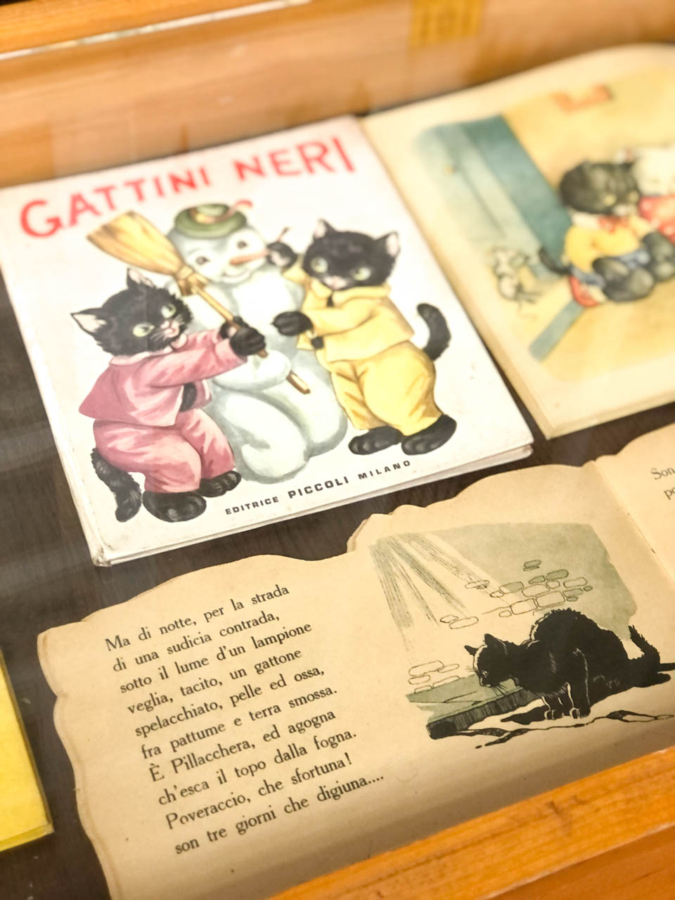 Cat illustrations on display at the Cat Museum in Kotor, Montenegro