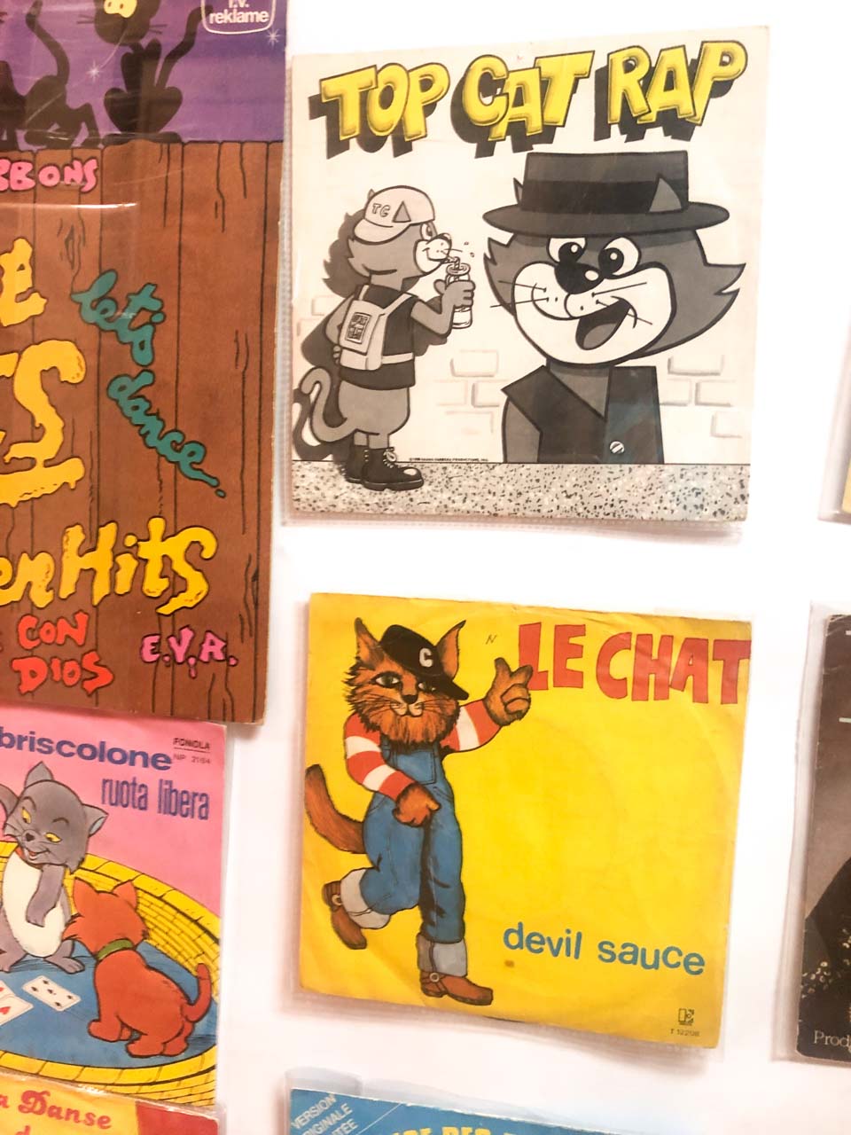 Vintage cat illustrations on display at the Cat Museum in Kotor, Montenegro