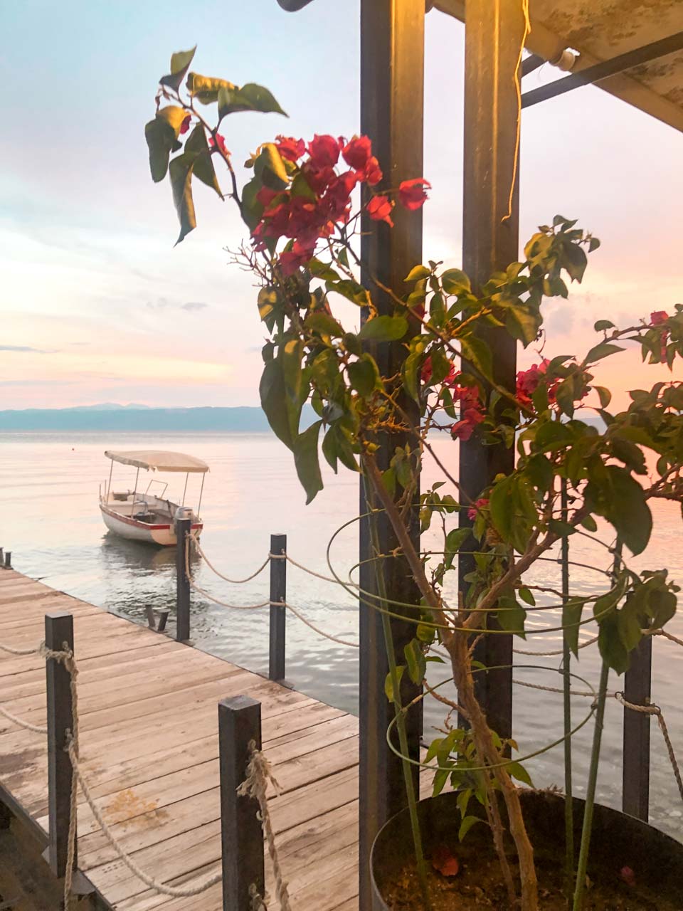 A branch with pink flowers and a boardwalk on the terrace of the Kaneo restaurant in Ohrid, North Macedonia