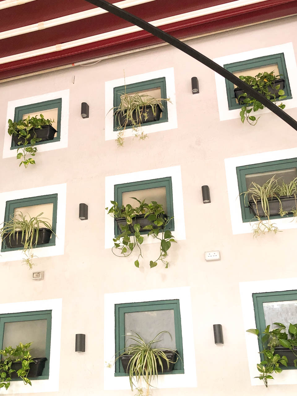Plants on the wall at Çoko in Tirana, Albania