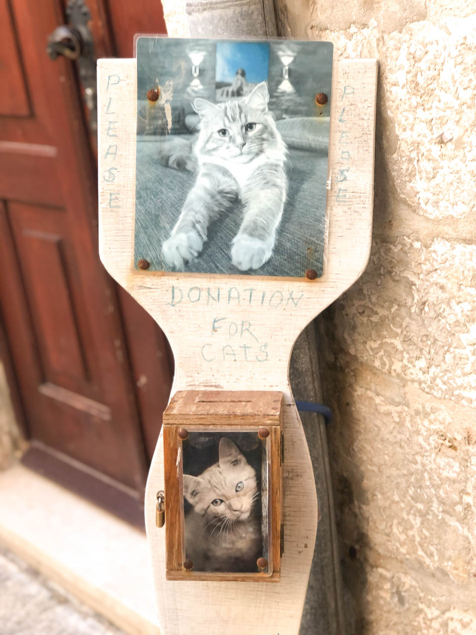 Donation box for cats in Dubrovnik Old Town