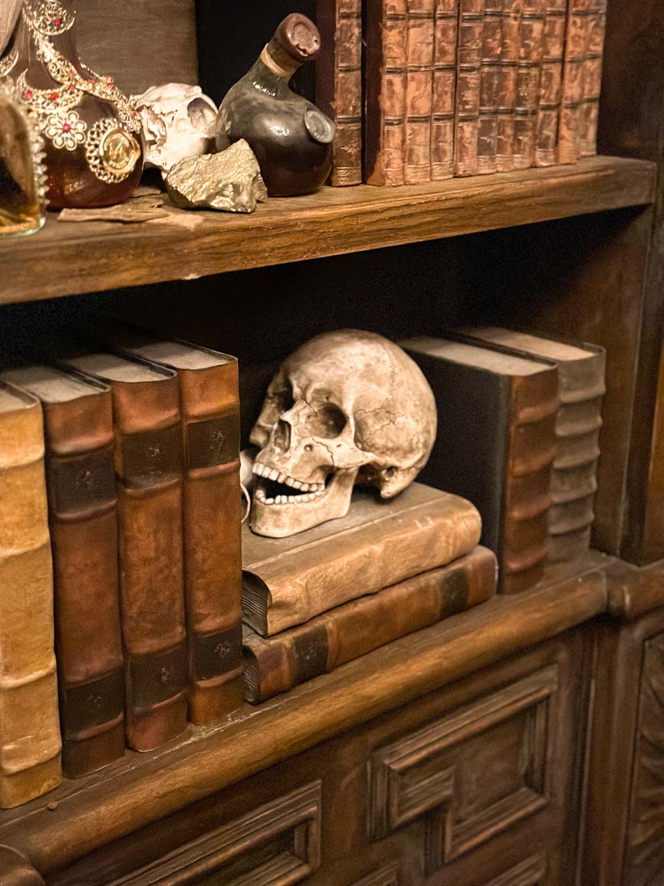 Books and a human skull on a bookshelf at Speculum Alchemiae in Prague