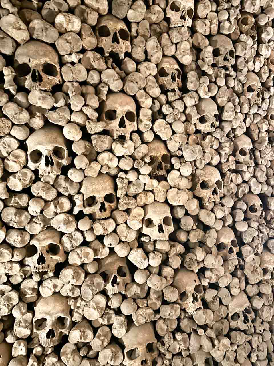 Close-up of the skulls and bones on display at the Brno Ossuary