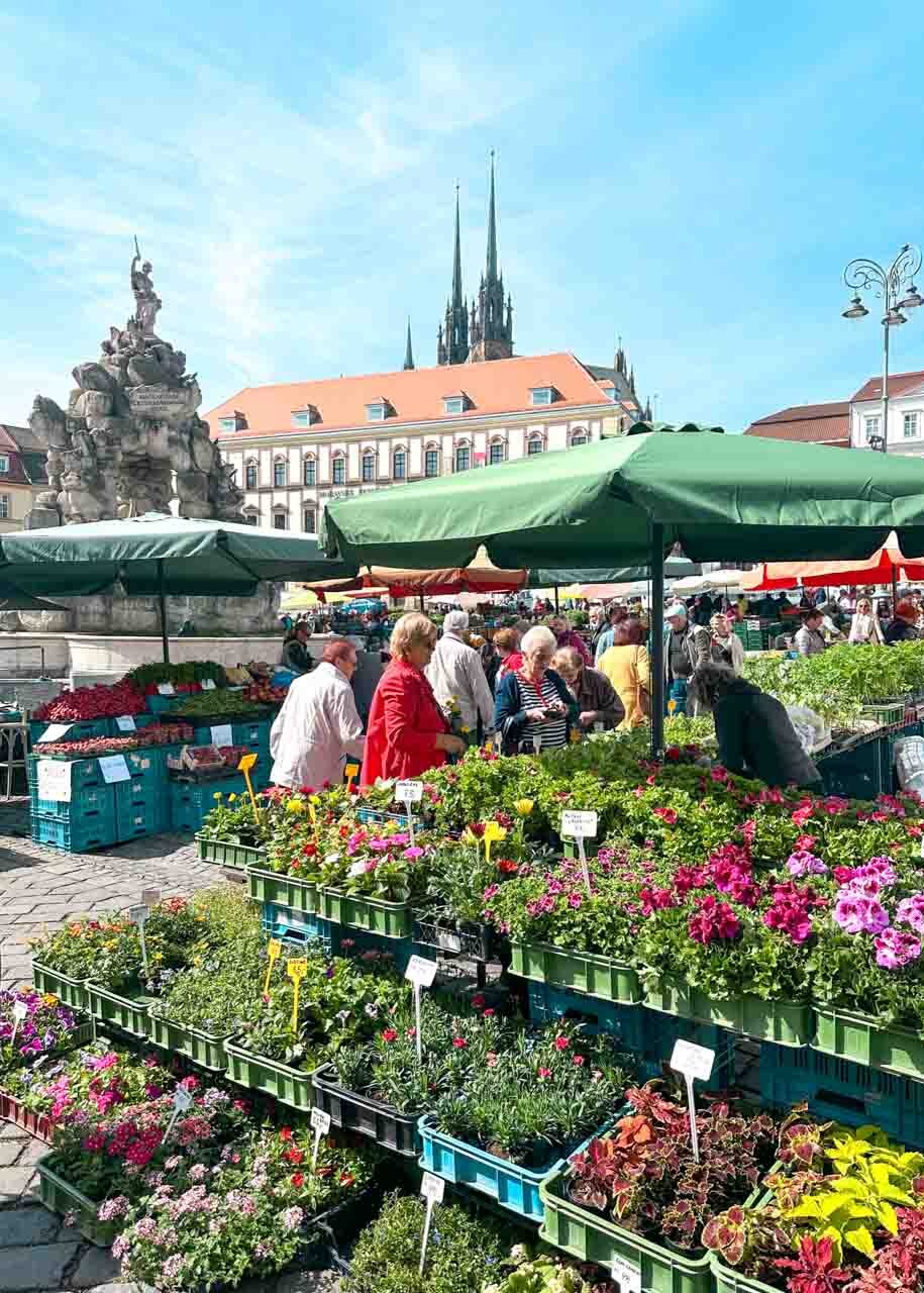 People walking around Zelný Trh (Vegetable Market) in Brno, Czech Republic