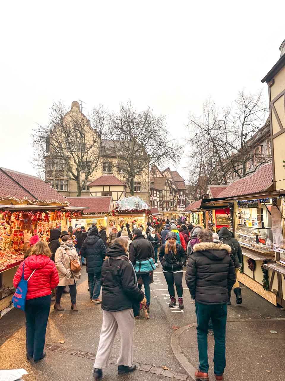Visitors browsing through the bustling Colmar Christmas Markets, with wooden stalls and historic half-timbered houses in the background