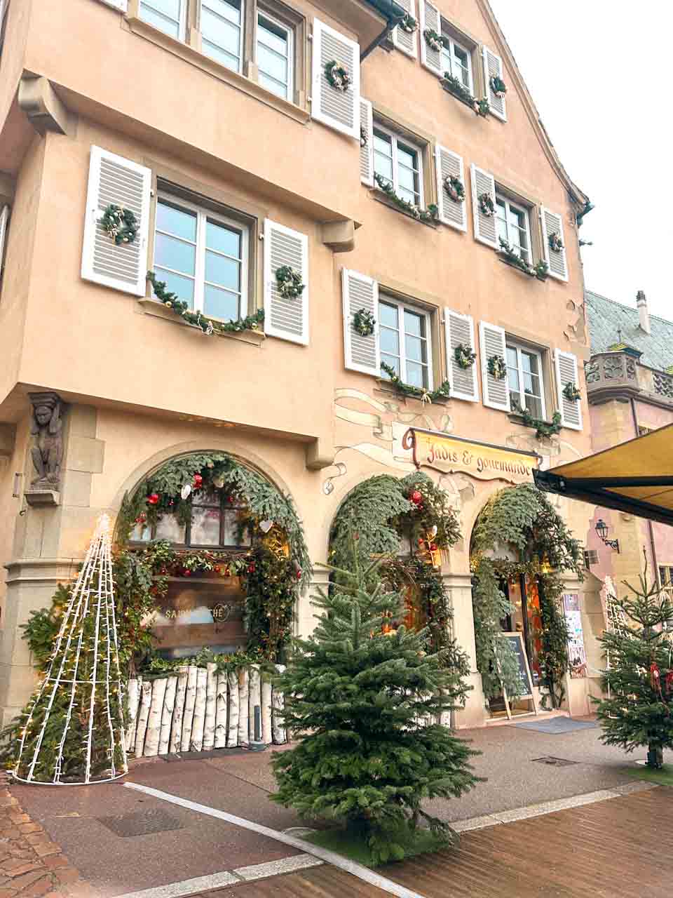 A pastel building in Colmar decorated with greenery with several Christmas trees out front