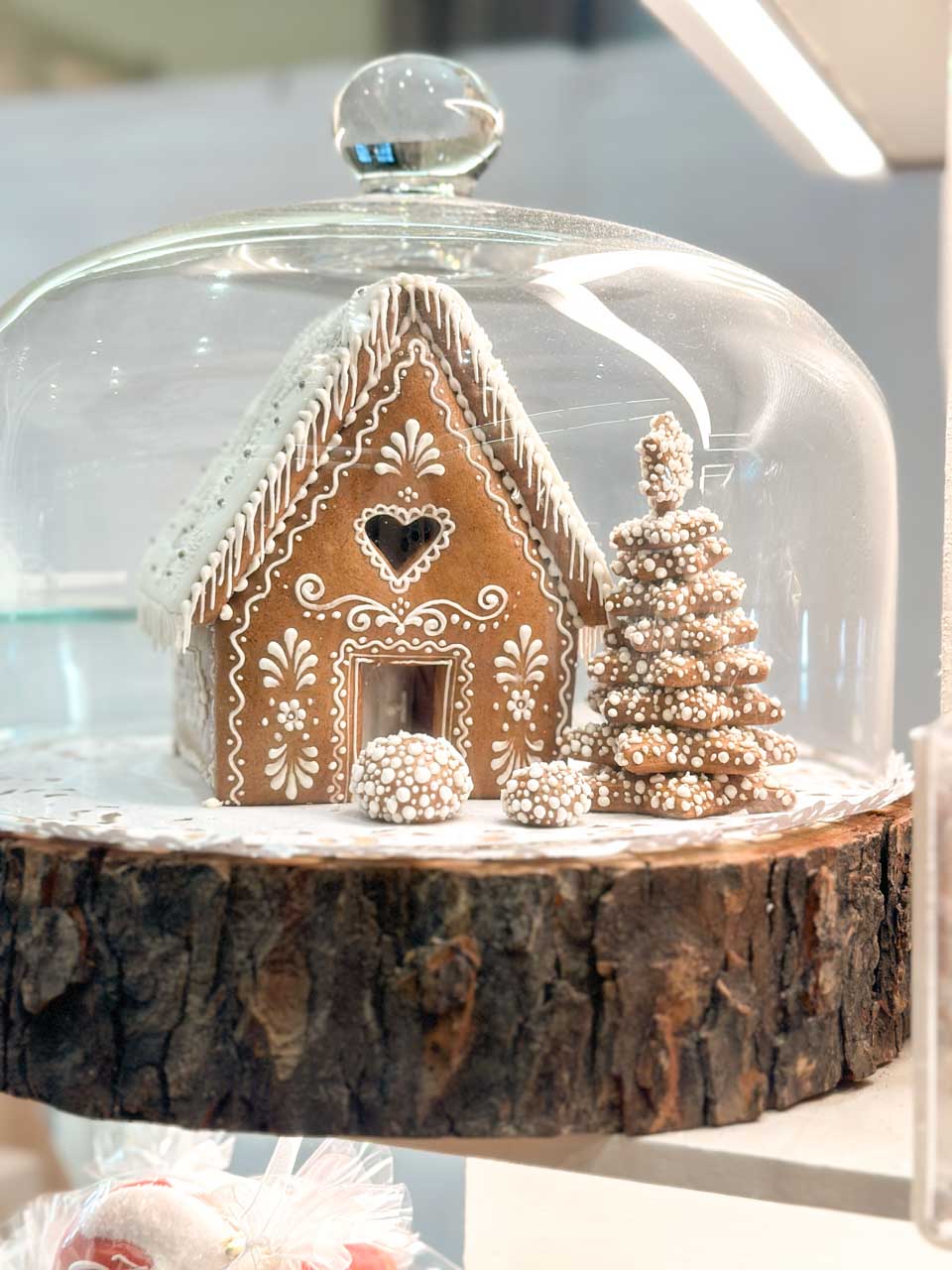 A gingerbread house under a glass dome, intricately decorated with white icing, and a festive tree