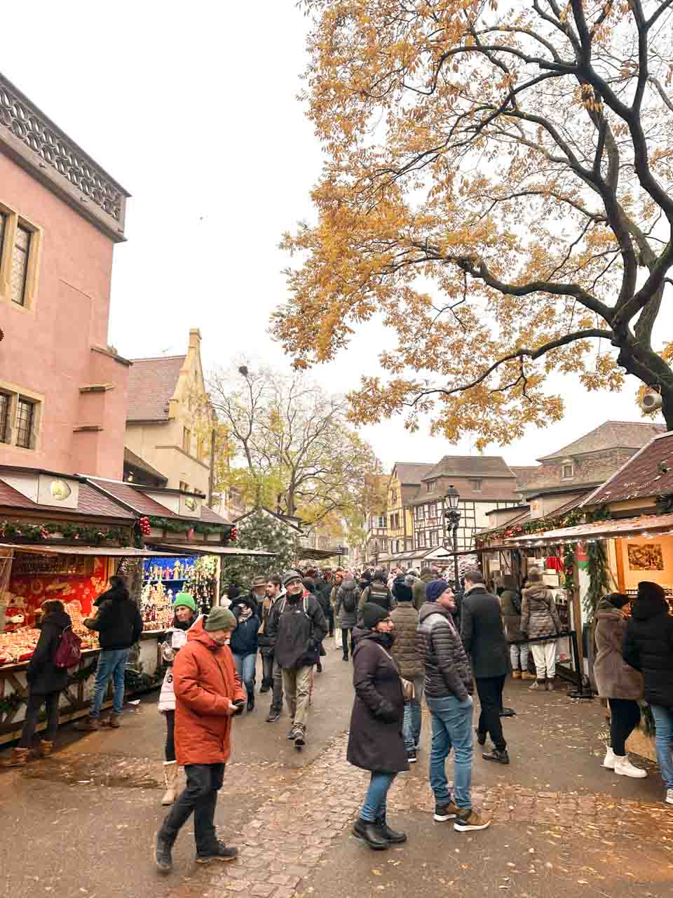 Visitors strolling through the Colmar Christmas Markets