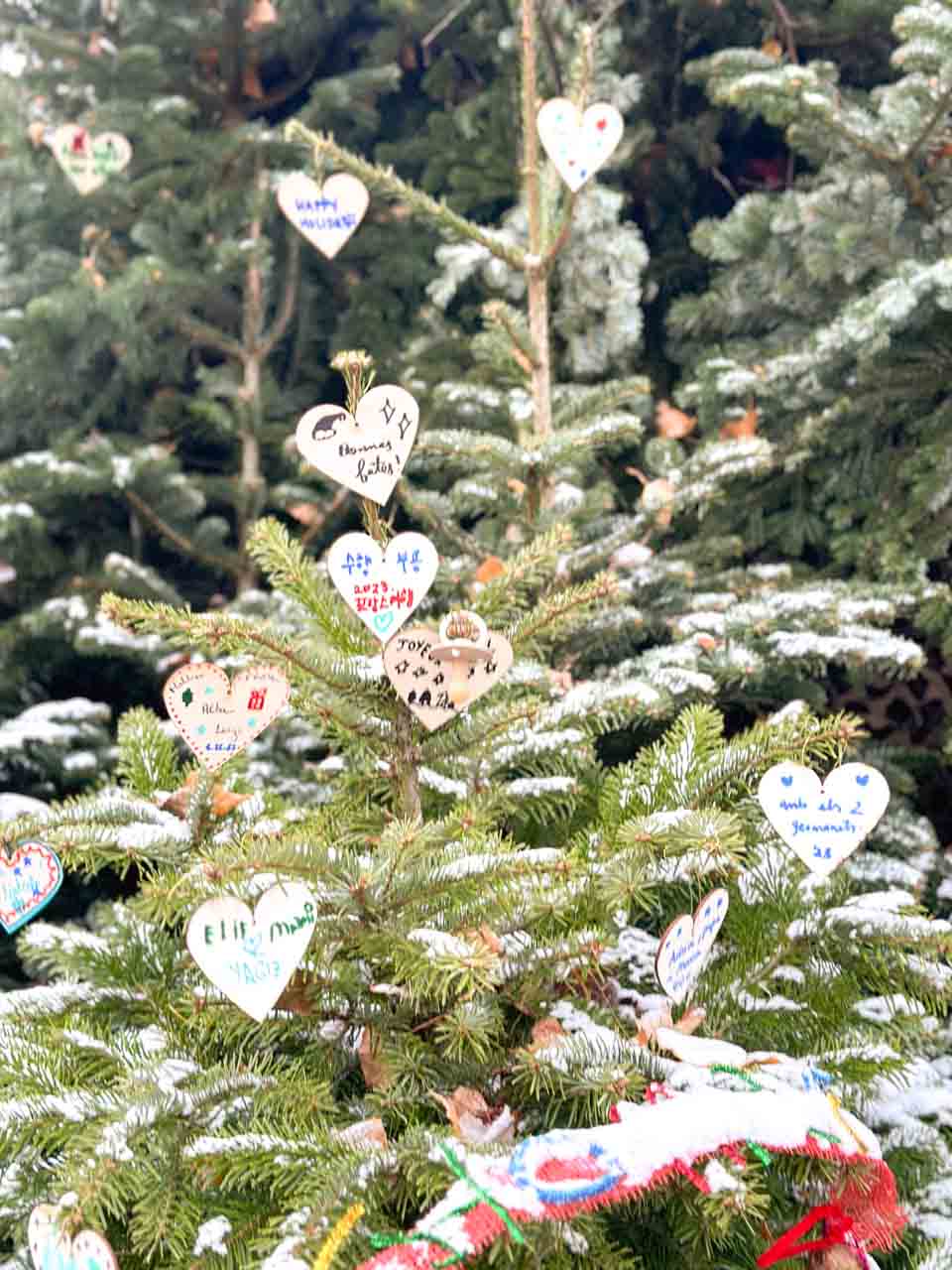 A Christmas tree adorned with heart-shaped ornaments featuring handwritten messages, dusted with a light layer of snow