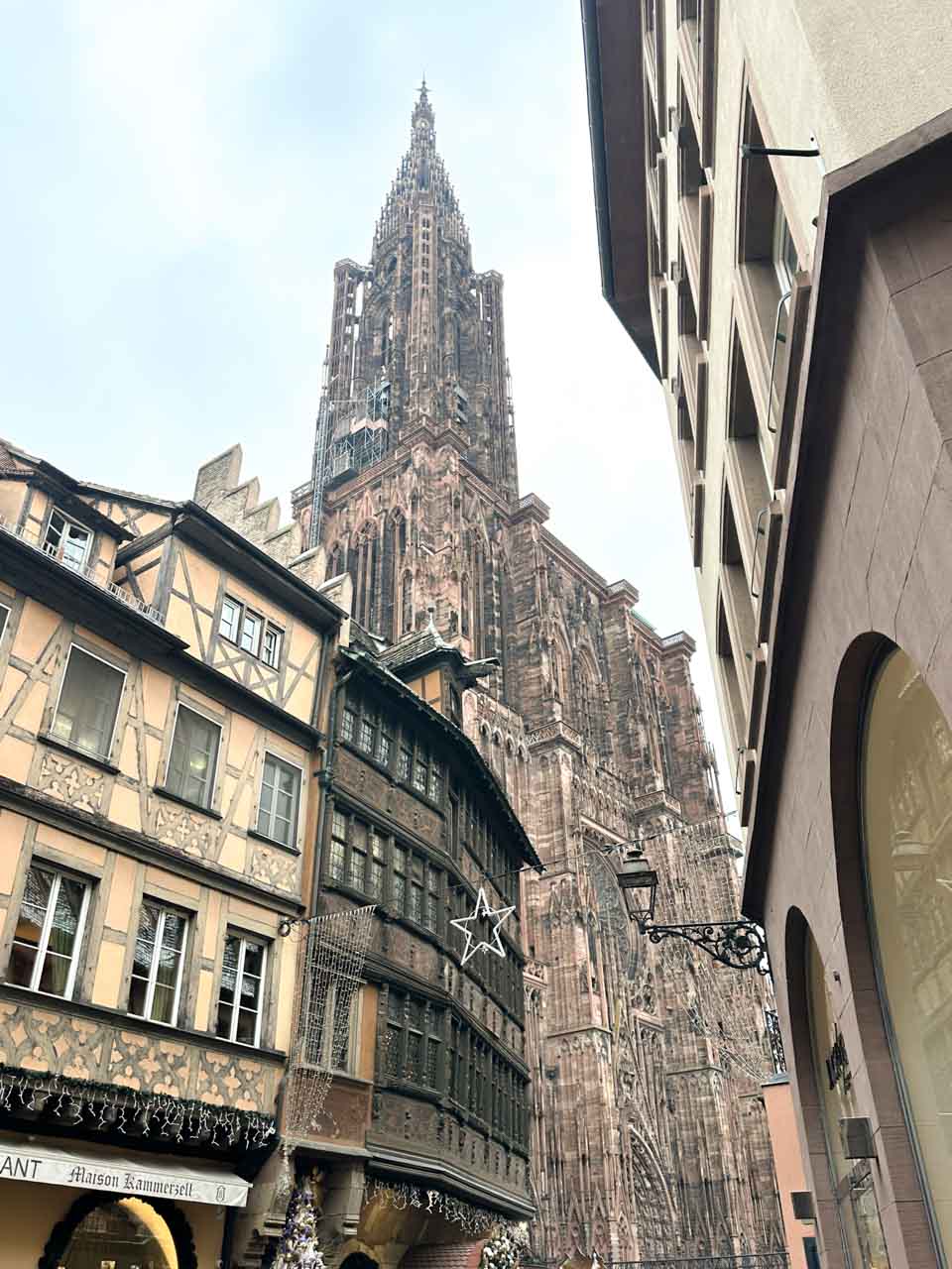 The majestic Strasbourg Cathedral towering over the surrounding half-timbered houses
