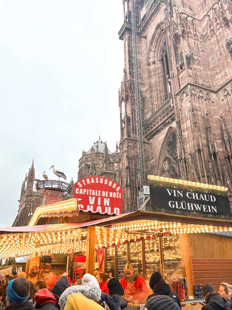 A bustling Christmas market stall offering mulled wine at Place de la Cathédrale in Strasbourg