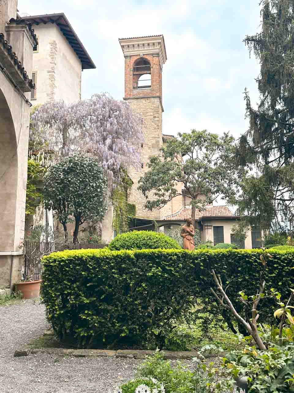 A garden scene with a wisteria tree in full bloom near a traditional Italian bell tower and a statue in the backdrop, surrounded by well-manicured hedges