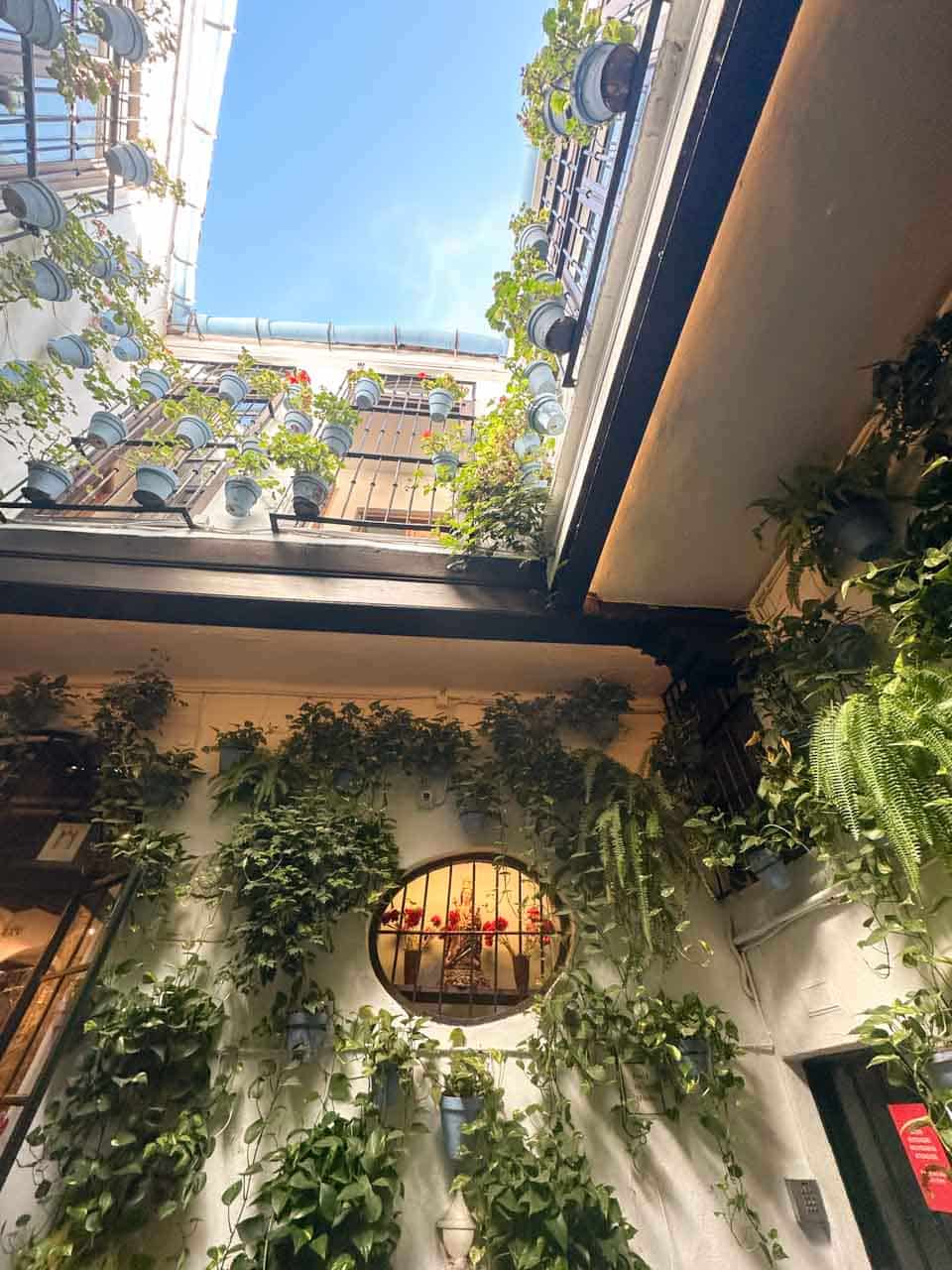 A courtyard at Bodega El Pimpi with pots of green plants on the walls