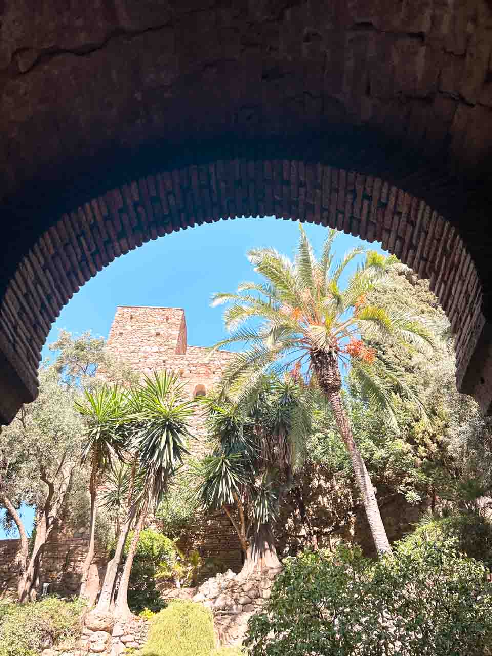 A view through a stone archway framing tall palm trees against a clear sky inside the Alcazaba of Malaga