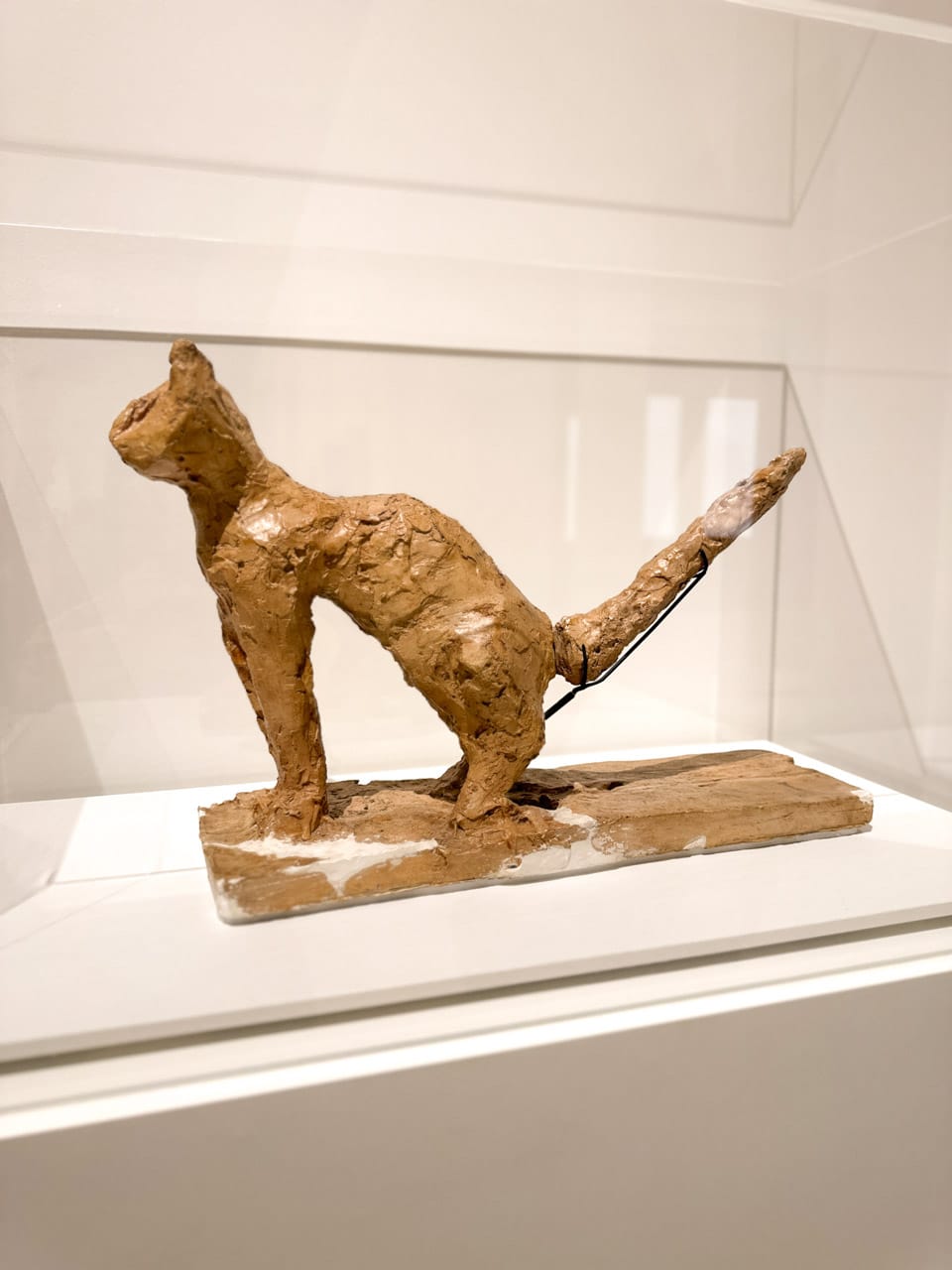 A small brown sculpture of a cat with a long tail by Pablo Picasso, displayed at the Picasso Museum in Malaga, Spain