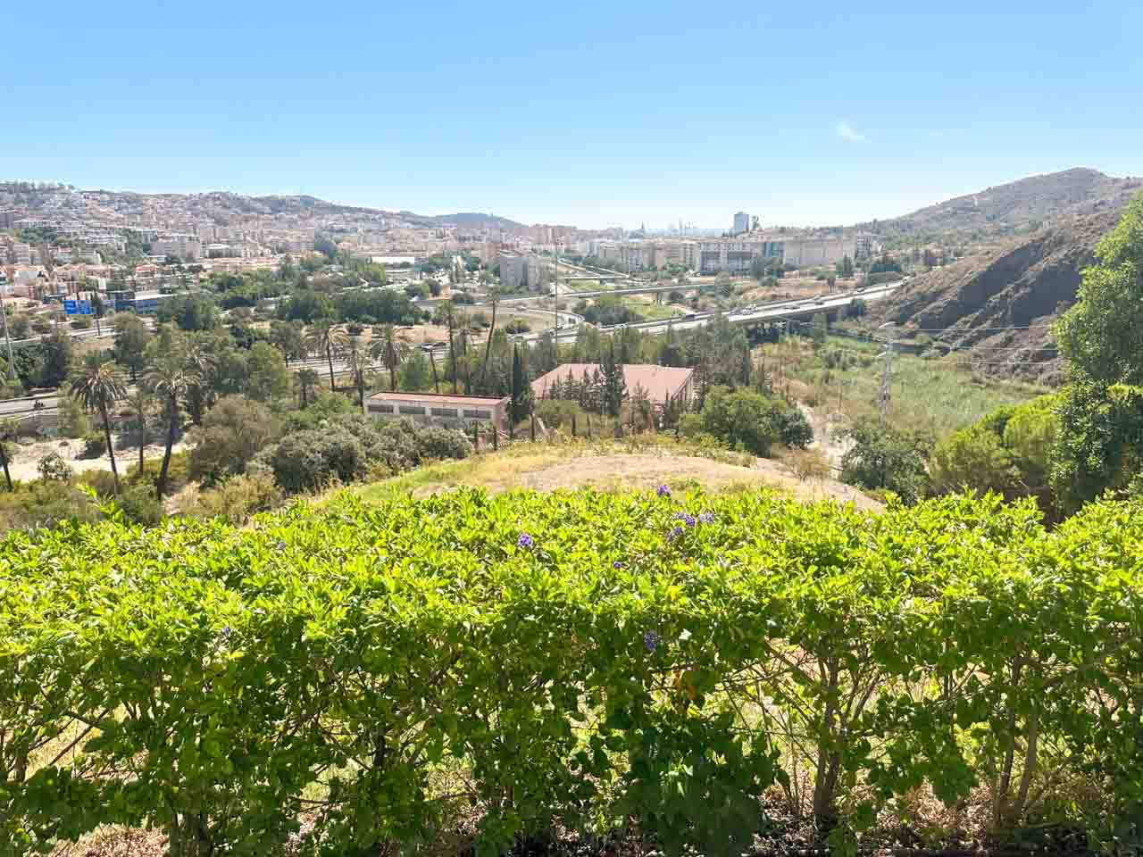 A panoramic view of Malaga's urban landscape from La Concepci&oacute;n Historical Botanical Garden