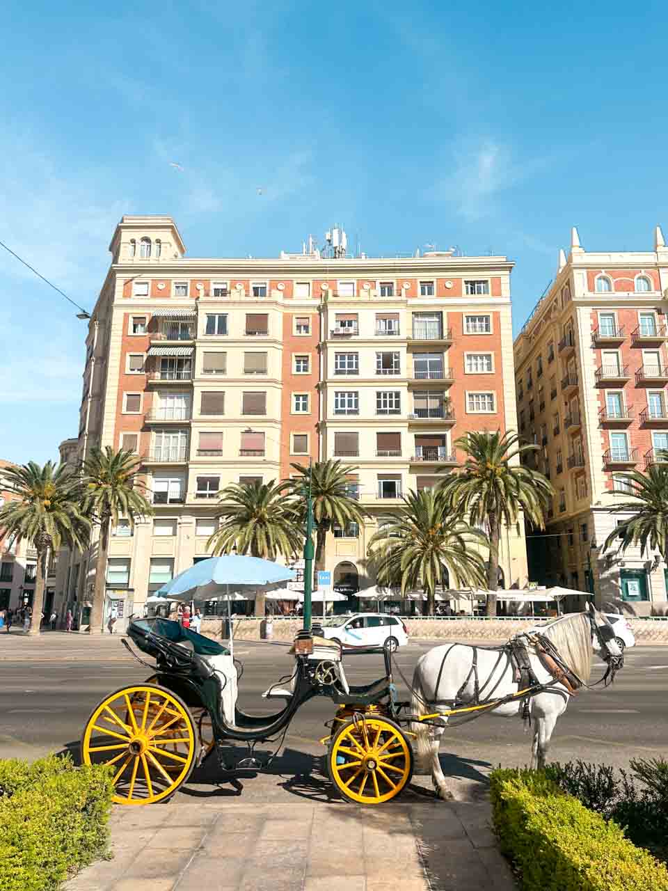 A traditional horse-drawn carriage with yellow wheels parked in front of a row of palm trees and buildings