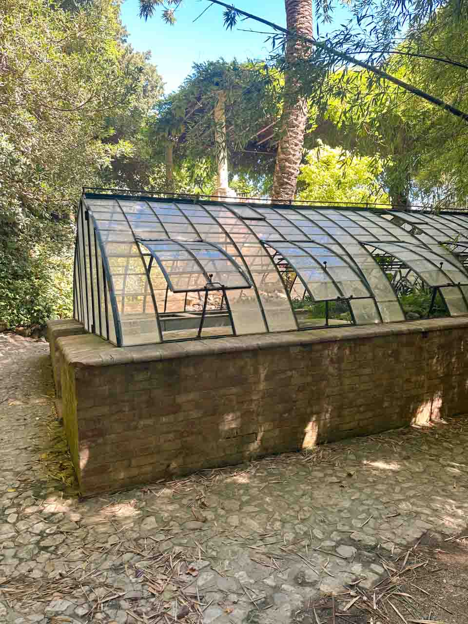 A small greenhouse with a transparent roof, against a background of trees and a clear sky