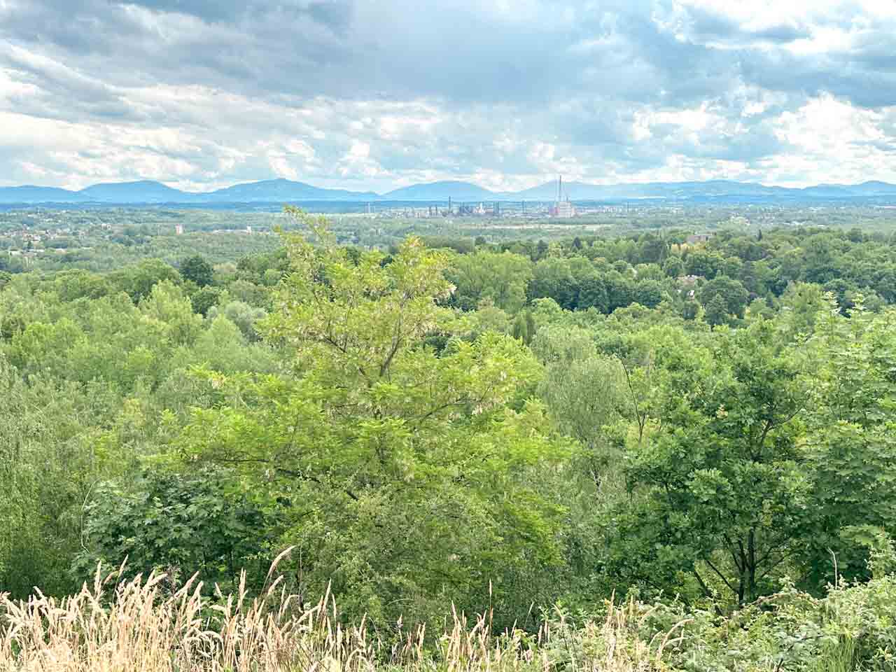 Lush green landscape with distant mountains and a city skyline under cloudy skies seen from the top of Halda Ema (Ema Heap) in Ostrava