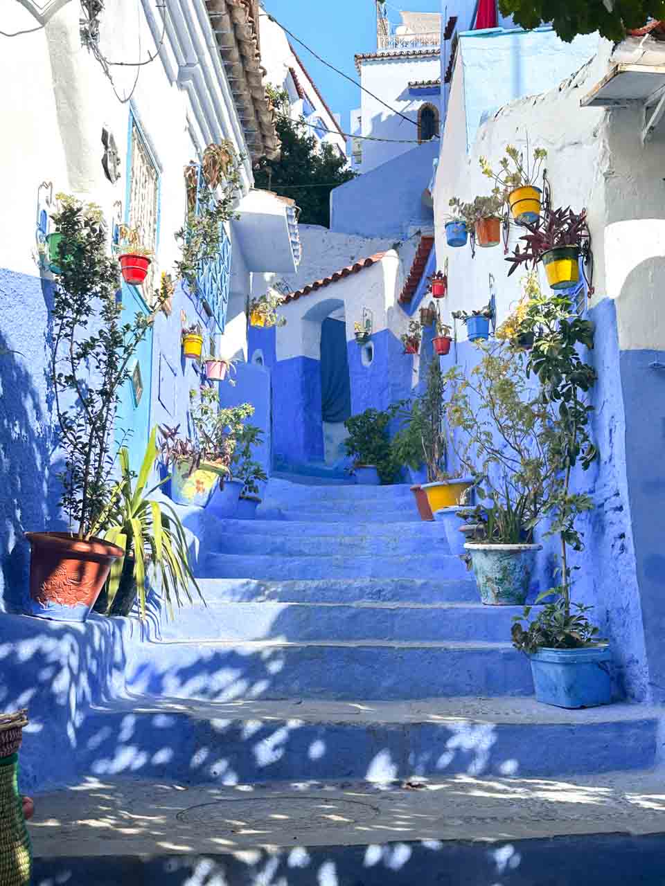 A narrow blue staircase with colourful potted plants on both sides, leading uphill between blue and white walls